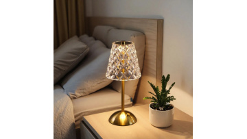 Crystal Shade Brass Table Lamp