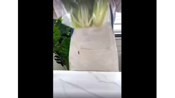 food ziplock freeze bag