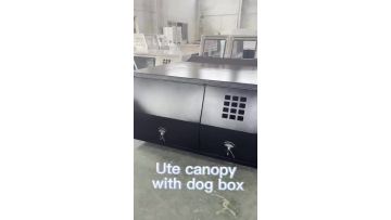 Canopy with dog box