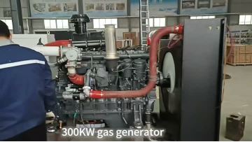 300kw  gas generator set
