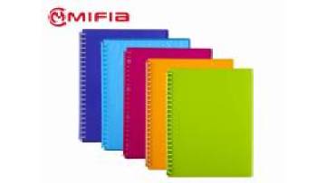 removable display book