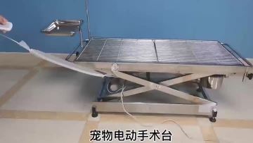 SFT02-ANIMAL TABLE