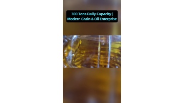 High safety standard configurations for large volume institutional edible oil supply scenarios