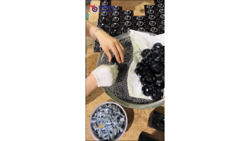 Industrial Pu Caster Wheels