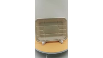 sugarcane bagasse meat fruit tray