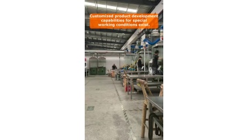 Video 2