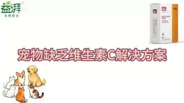 Reishi Mushroom with Vitamin C for Pets