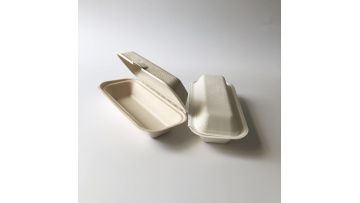 bagasse hot dog contaienrs