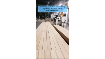 Video 19