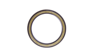 Factory manufacturer Rotary Shaft Seal BAHDSL 15 type fkm oil seal  for MG21 hydraulic pump1
