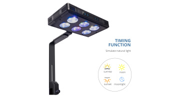 LED CORAL REEF LIGHTING