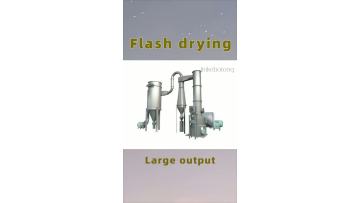 Flash dryer4