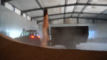Grain wagonC0052.MP4