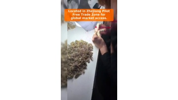 Video 14