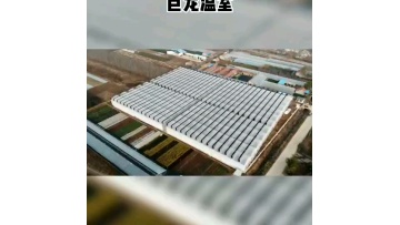 Intelligent multi-span agricultural plastic film greenhouse for vegetable1