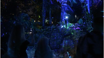 Lavius outdoor decoration lighting project in Miami