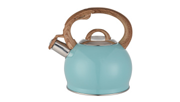 FH-592B New high appearance level coffee kettle