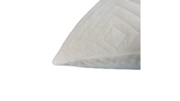 Home Plain Decorative Pillow Covers Era Of Square Custom Velvet Cushion Cover1