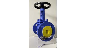 DIN BELLOWS GLOBE VALVE 2