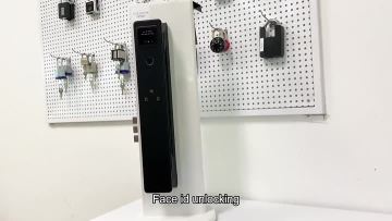 Smart Face Door Lock T22