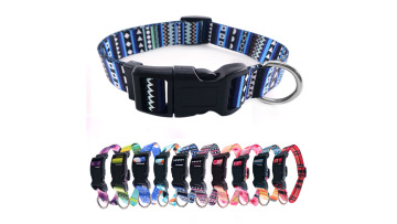 pet collar personalized