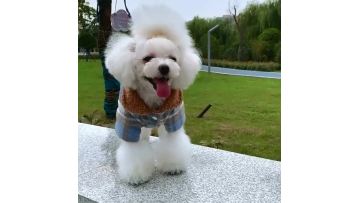 2222
