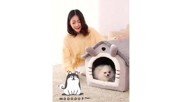 主图视频1