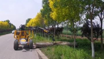 log loading trailer with crane forester trailer si
