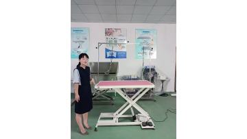 pet grooming table