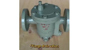 Flange Bucket Type Traps
