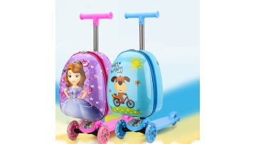 scooter trolly case