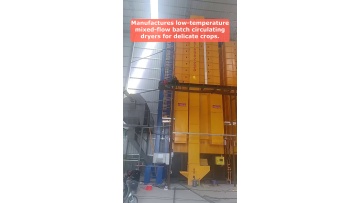 Video 46