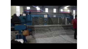 gabion mesh