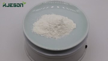 Coconut Powder 