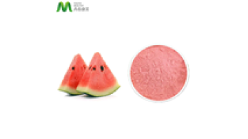 Good Water Solubility Watermelon Fruit Powder1