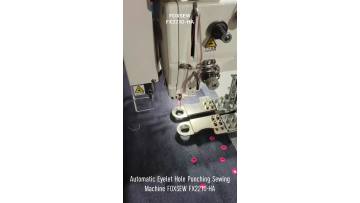 Automatic Eyelet Hole Punching Sewing Machine