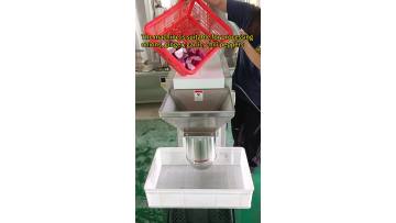 Food Smasher Onion Chopper Ginger Garlic Crushing 