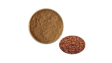 5% buckwheat tartary Seed extract powder