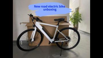 electric bicycle