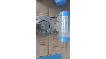 Pneumatic butterfly valve