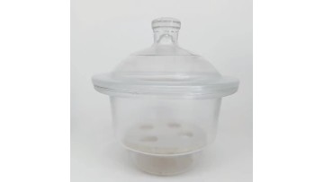 Clear Glass Desiccator