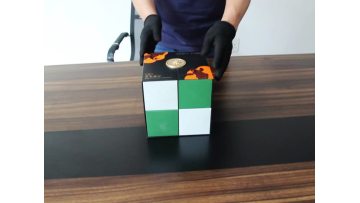 Internal Structure Demonstration