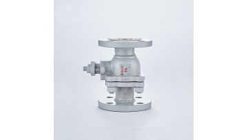 Premium Forged Stainless Steel Valve for Industrial Applications