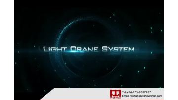 Light Flexible Combined Suspension Crane System