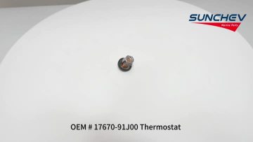 17670-91J00 Thermostat 