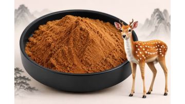 Deer Antler Powder Products