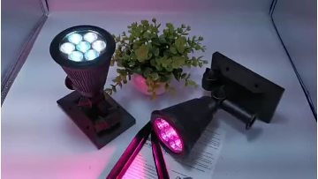 wmvkOXrYxDqqfBL1rWO_303198977568_mp4_264_sd