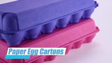 Custom Colors Pulp Molded Egg Tray Cartons for Wholesale Agriculture GPM Green OEM Service Accepted Accept Customized Logo 70g1