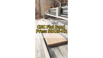 cnc_panel_sanding_press_wood_finishing.mp4