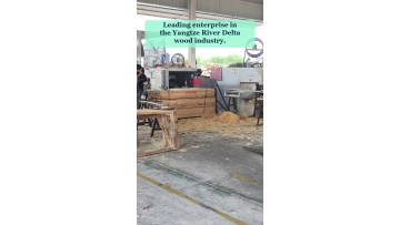 Video 45